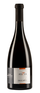 ANTEA - Rouge - 2022 - Domaine SAUVETE